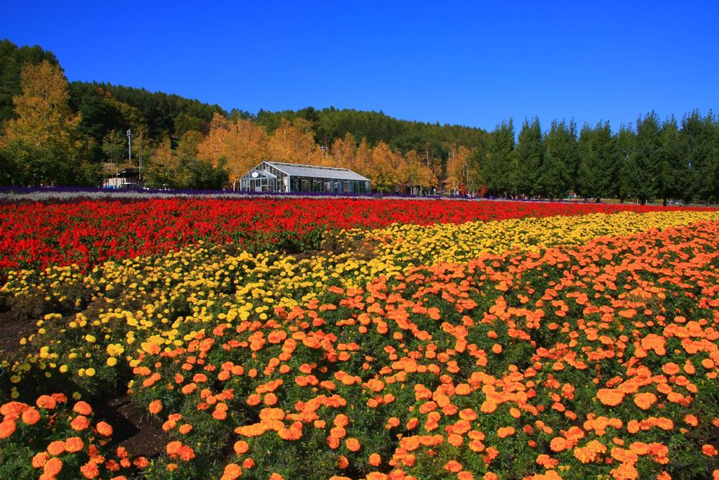 Brick House Furano Διαμέρισμα Εξωτερικό φωτογραφία